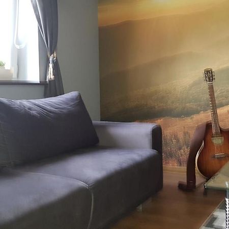 Apartament Folkowy Wujek Pod Gromadzyniem Ustrzyki Dolne Dış mekan fotoğraf